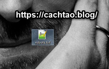 tao-file-robots-txt-cho-web (3)